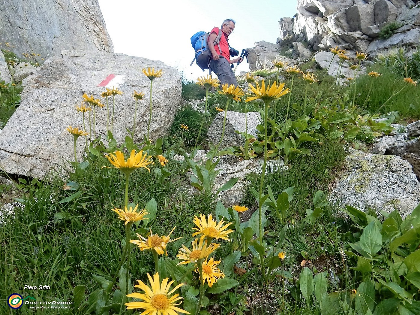 46 Scendendo dal Passo Pantano.jpg